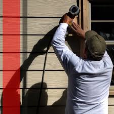 Best Siding Painting and Refinishing  in Dagsboro, DE